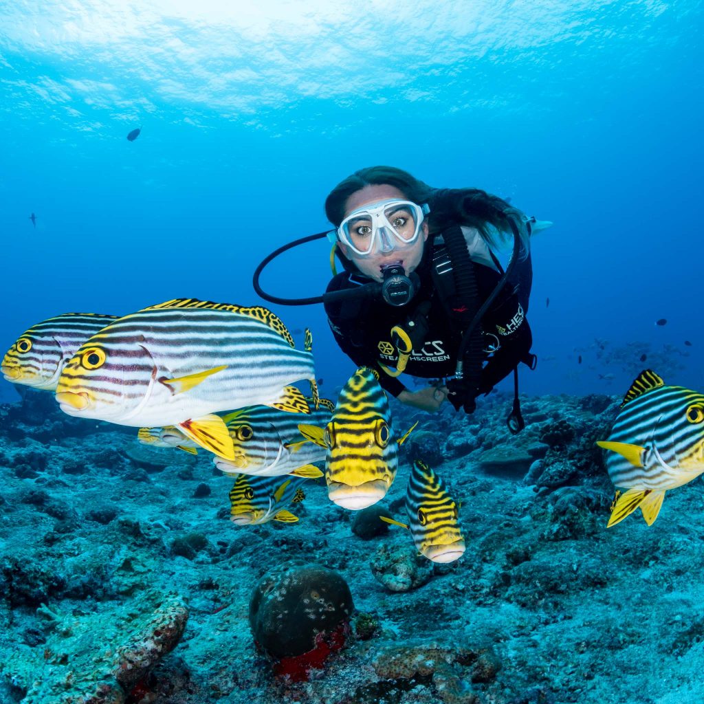 Diver Exploring the Maldivian Sea